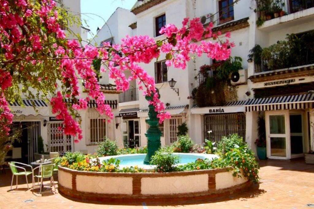 Begonia Studio 119 Torremolinos Zewnętrze zdjęcie