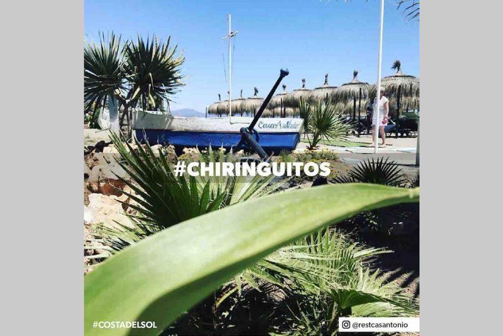 Begonia Studio 119 Torremolinos Zewnętrze zdjęcie