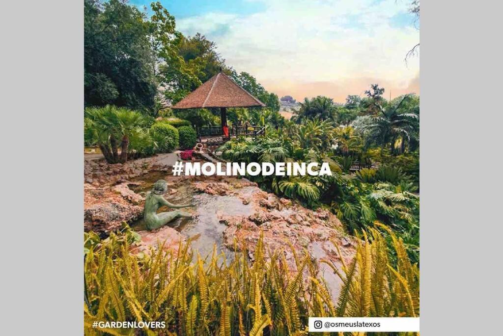 Begonia Studio 119 Torremolinos Zewnętrze zdjęcie
